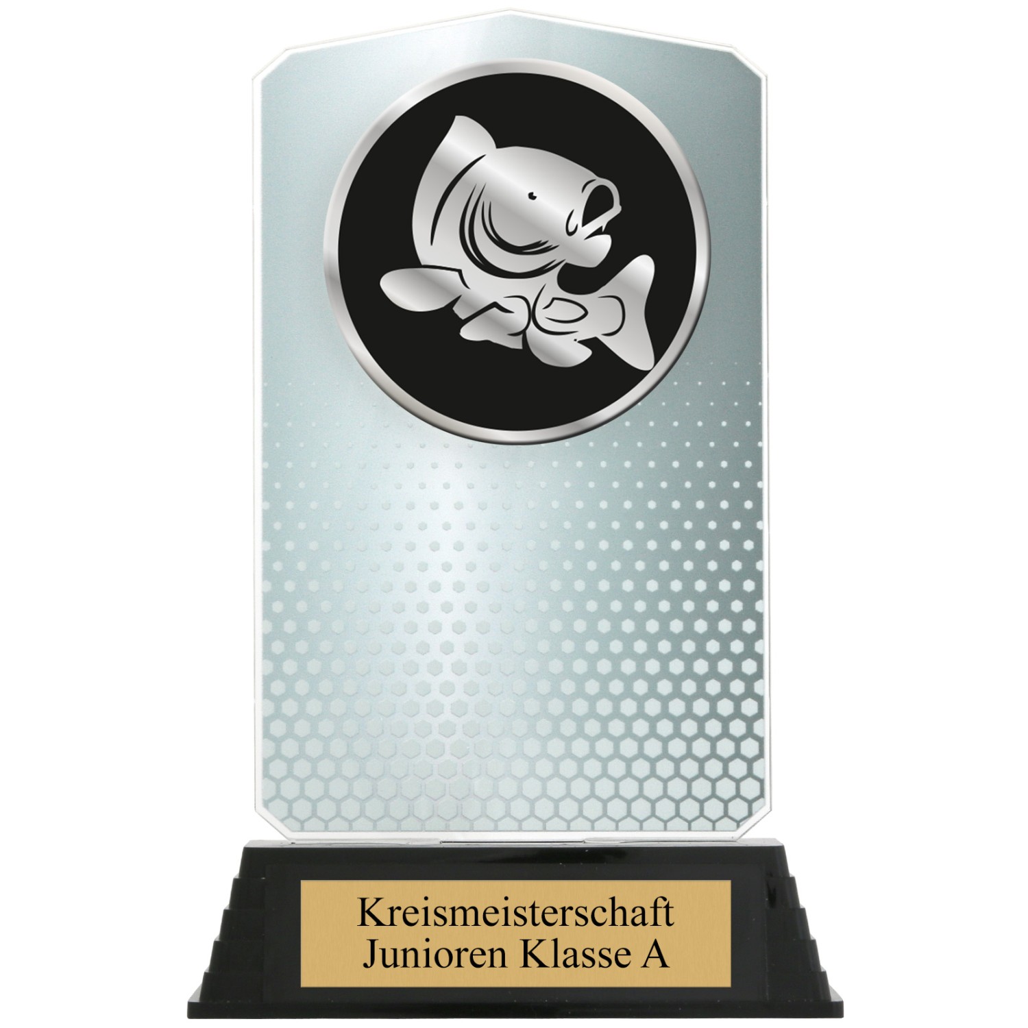 3. Foto Pokal Set Karpfen Angeln HUPPY Acryl 3 Stück Gold Silber Bronze mit XL Gravur