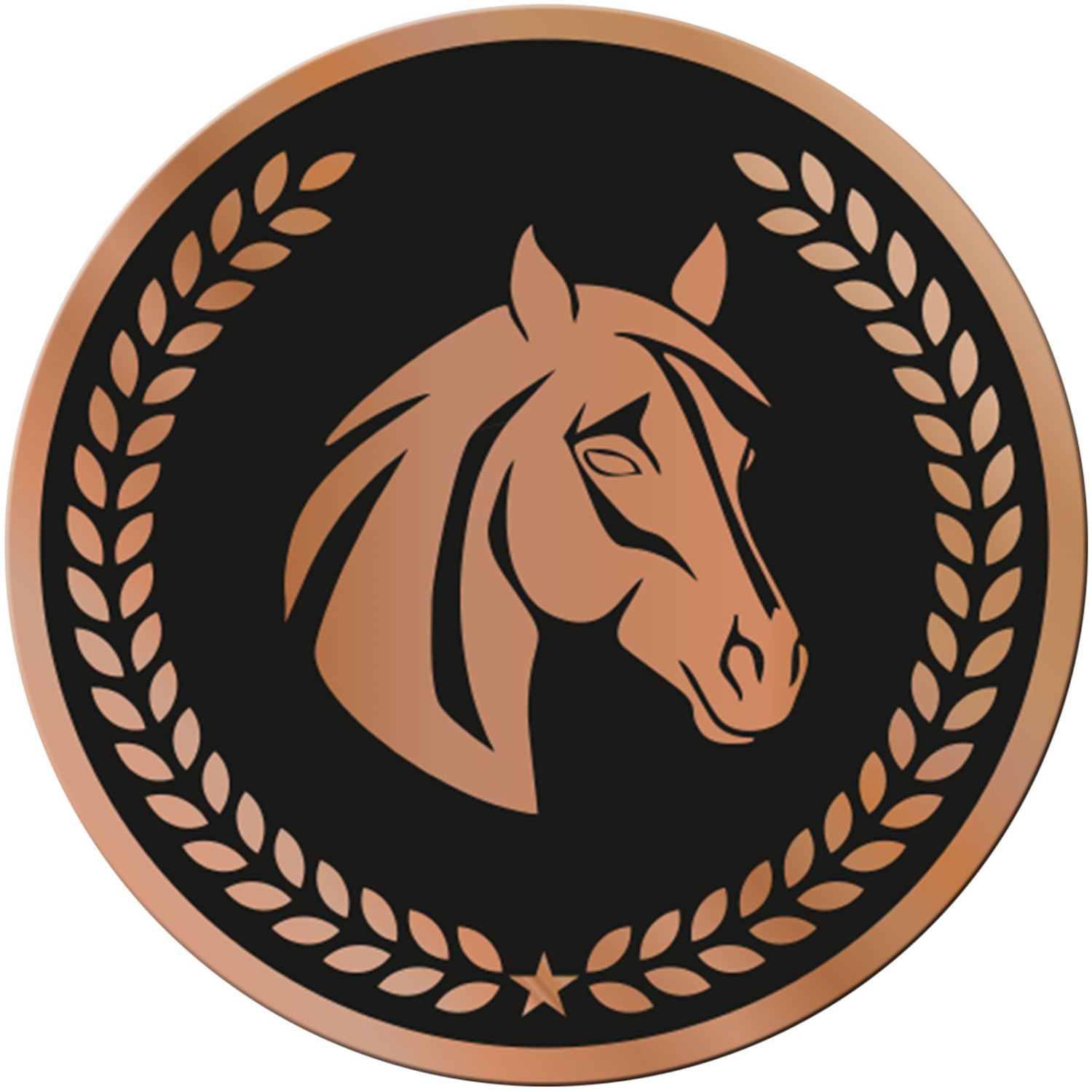 0. Foto ACRYL Emblem 70mm Pferd Reiten Bronze