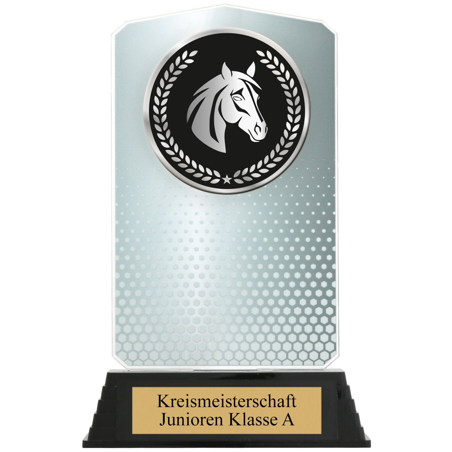 3. Foto Pokal Set Pferd Reiten HUPPY Acryl 3 Stück Gold Silber Bronze mit XL Gravur