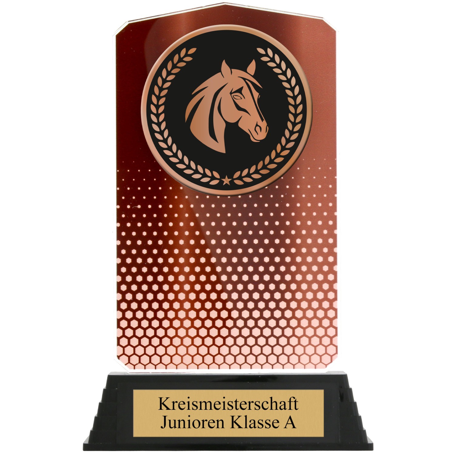 4. Foto Pokal Set Pferd Reiten HUPPY Acryl 3 Stück Gold Silber Bronze mit XL Gravur