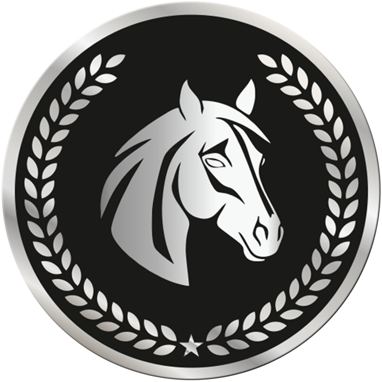 0. Foto ACRYL Emblem 70mm Pferd Reiten Silber