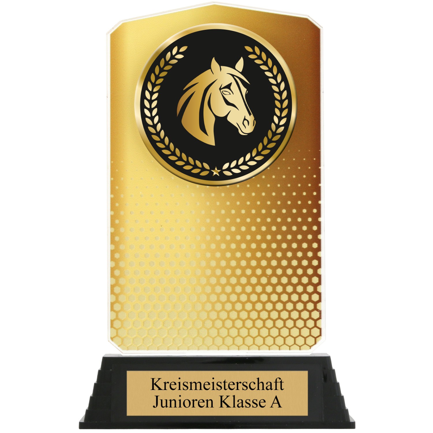 2. Foto Pokal Set Pferd Reiten HUPPY Acryl 3 Stück Gold Silber Bronze mit XL Gravur