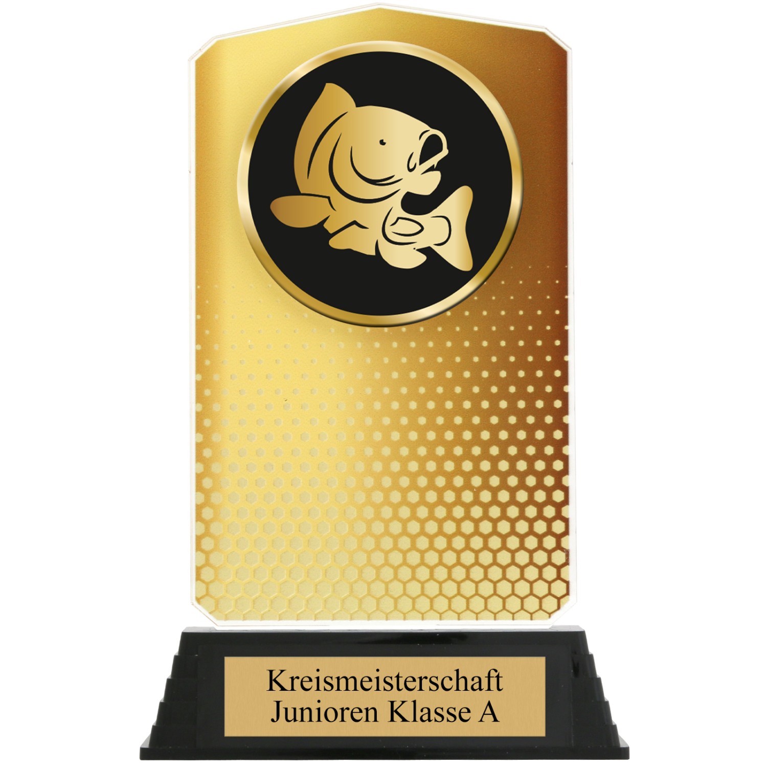 2. Foto Pokal Set Karpfen Angeln HUPPY Acryl 3 Stück Gold Silber Bronze mit XL Gravur